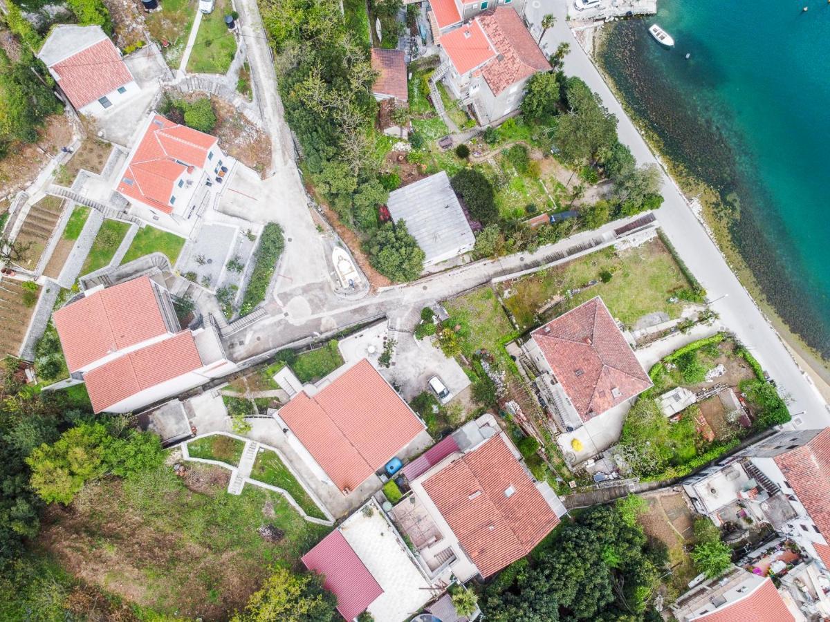 Green Home Apartments Kotor Zewnętrze zdjęcie