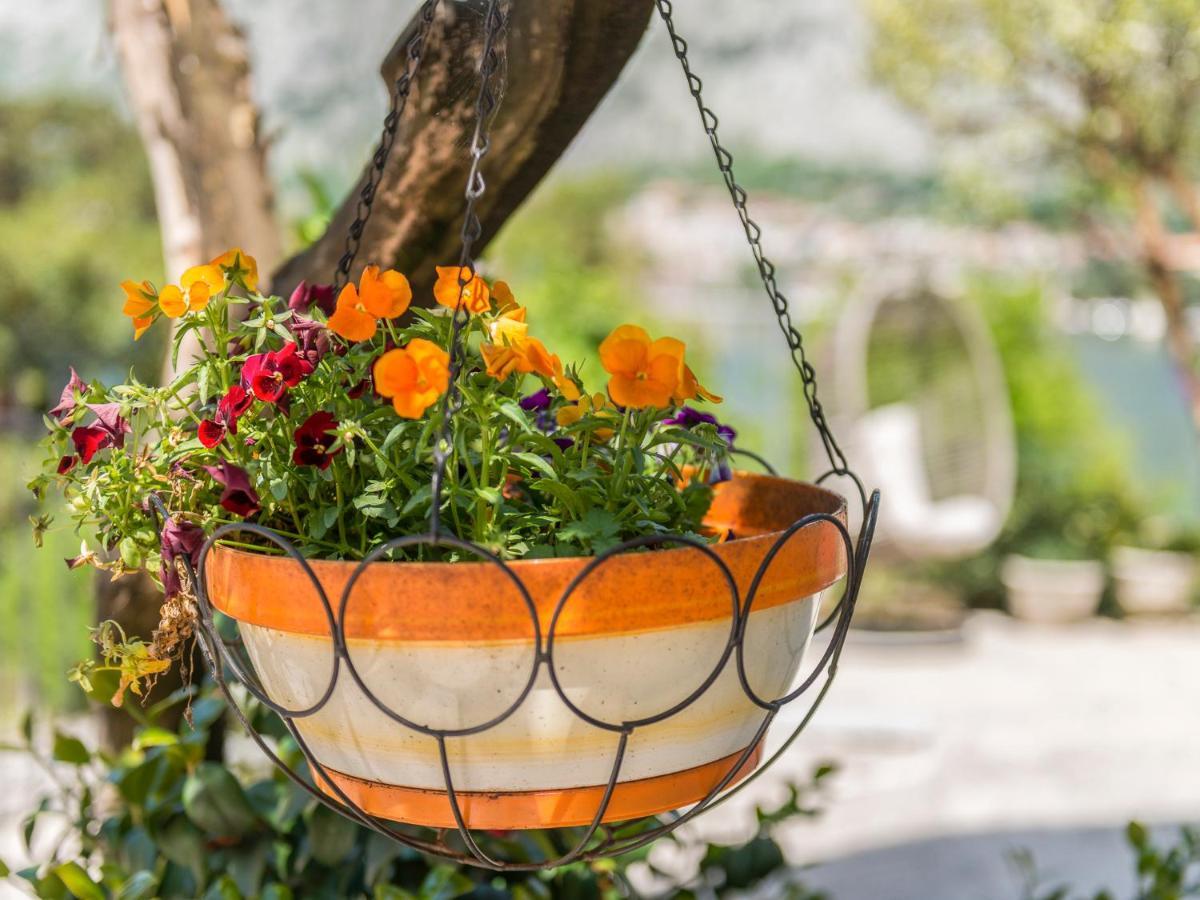 Green Home Apartments Kotor Zewnętrze zdjęcie